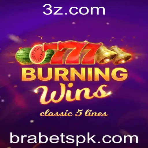 bra bet Casino App